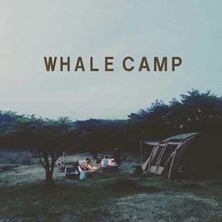 whalehouse_campのプロフィール写真