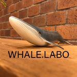 whale.laboさんのプロフィール写真