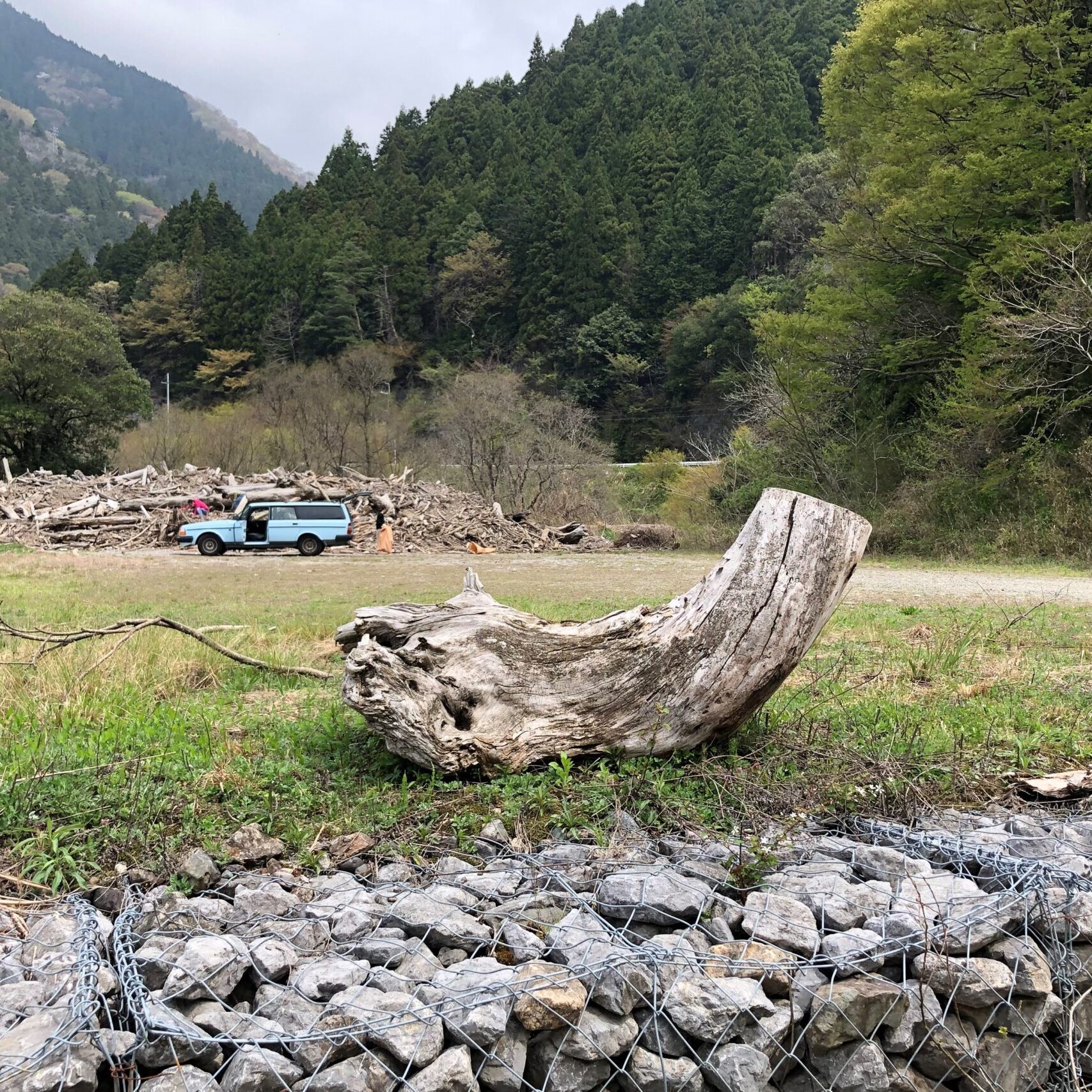 wp-wp-content-uploads-2019-04-