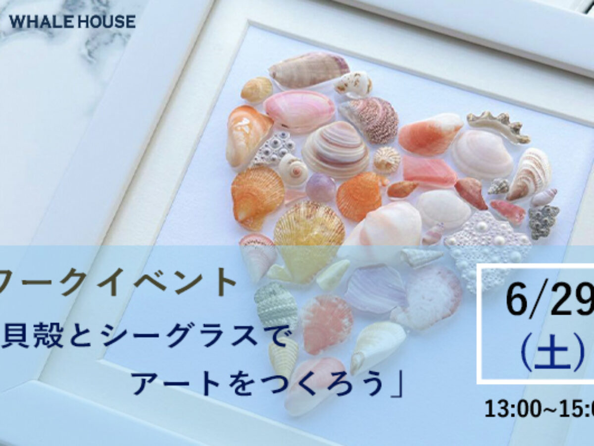 wp-wp-content-uploads-2024-05-